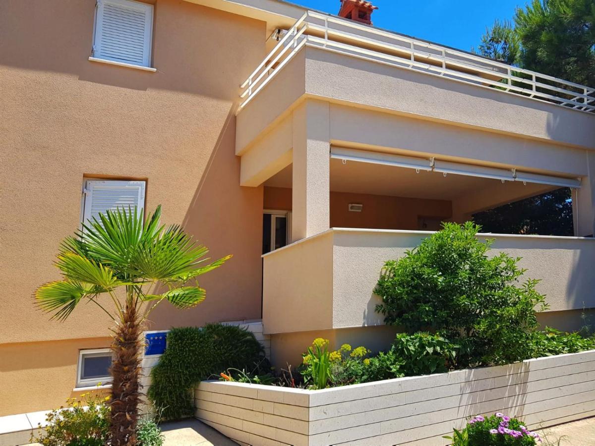 Apartmani Vrancic Mandre Kültér fotó